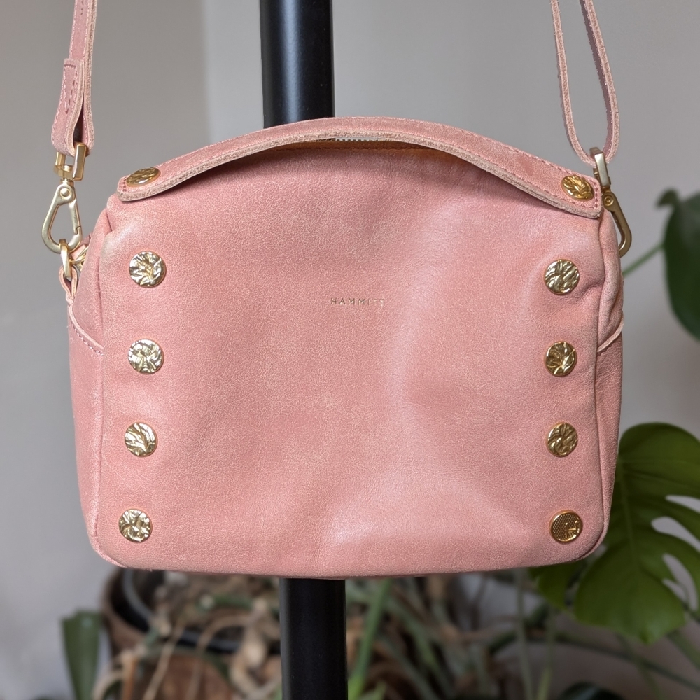 Hammitt Evan Pink Crossbody Bag